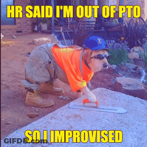 I'm Out Of Pto So Improvised GIF