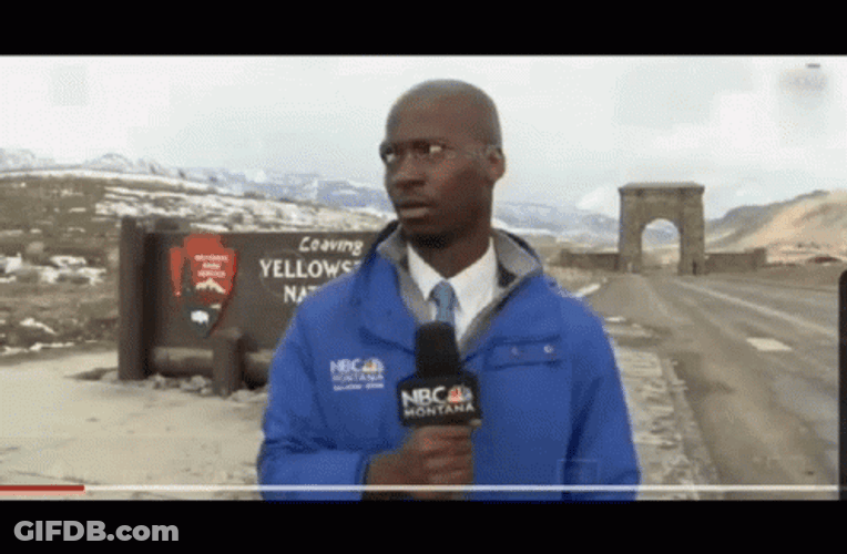 I'm Out Tv Reporter Executed GIF