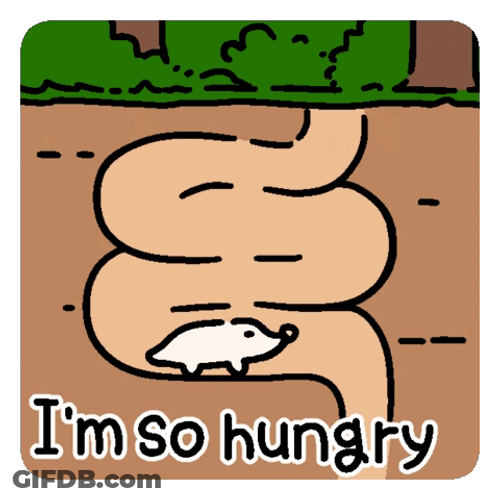 I'm So Hungry Stomach Empty GIF