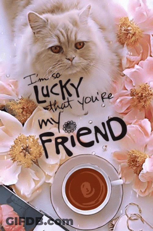 I'm So Lucky Thank You Friend GIF