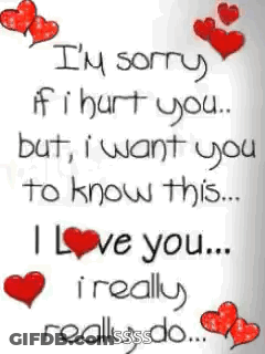I'm Sorry I Hurt You I Love You GIF