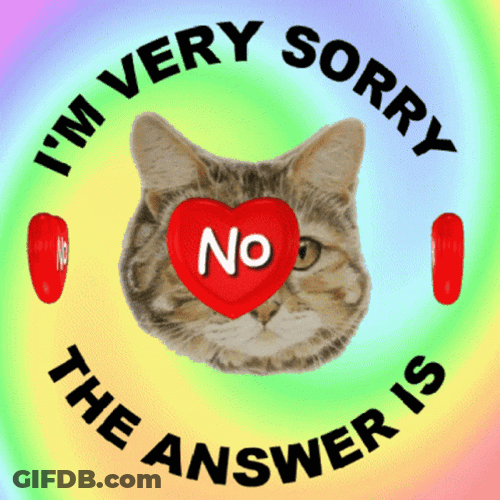 I'm Sorry No Way Cat GIF
