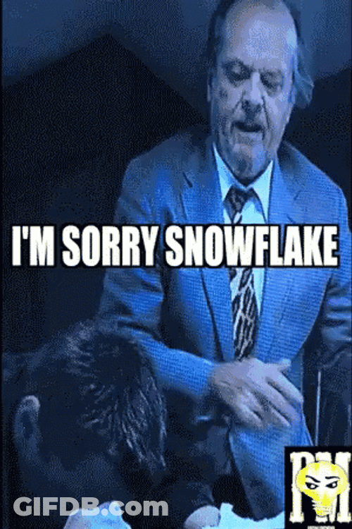 I'm Sorry Snowflake GIF