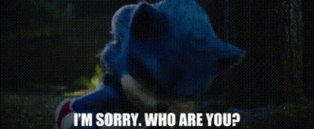 I'm Sorry Who Are You Sonic Movie GIF