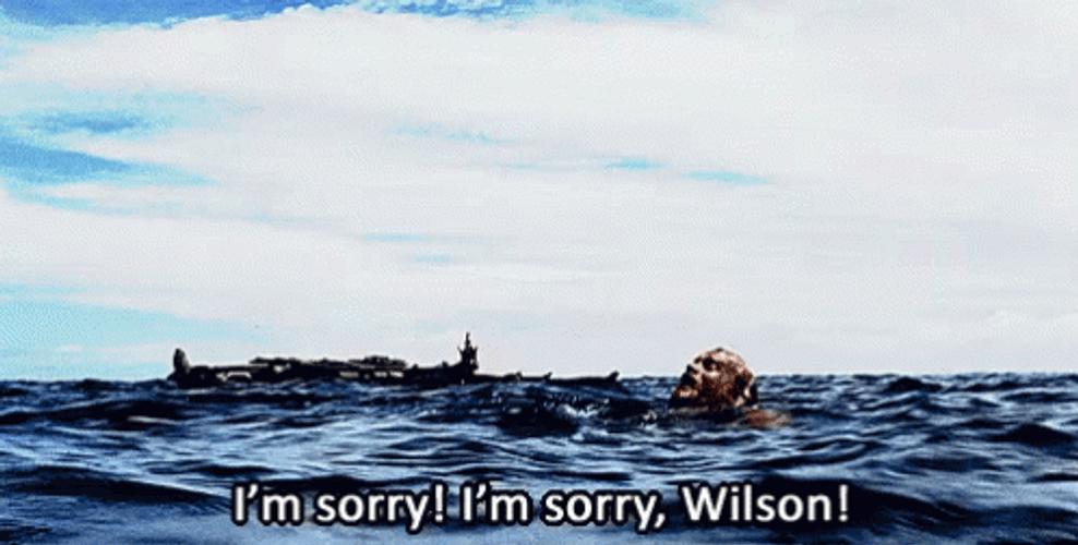 I'm Sorry Wilson Tom Hanks Cast Away GIF