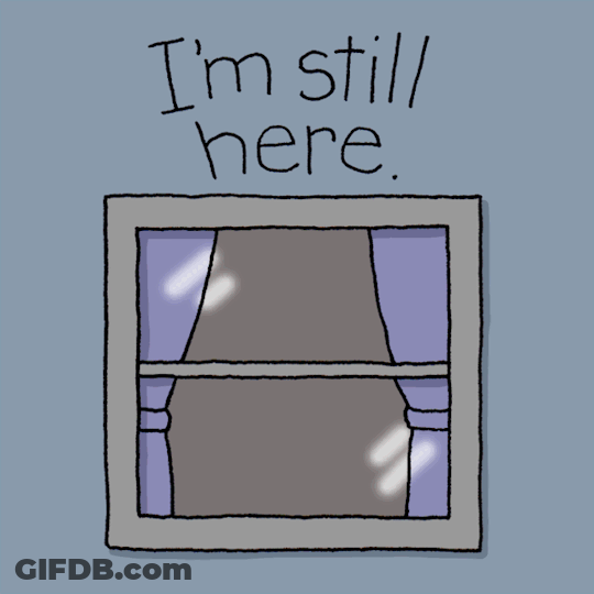 I'm Still Here Windows Chippy The Dog GIF