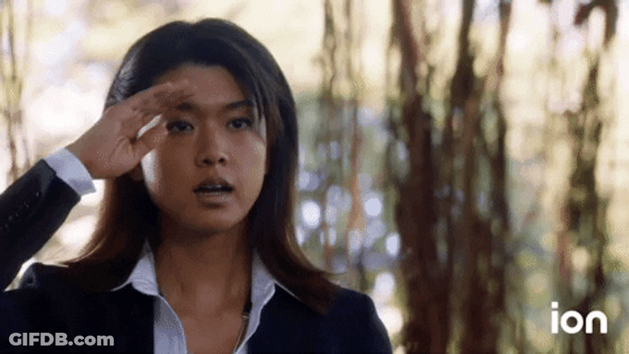 I'm The Captain Now Hawaii Five-0 GIF