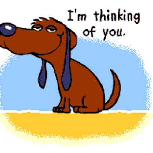 I'm Thinking Of You GIF