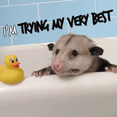 I'm Trying My Best But I Can't GIF