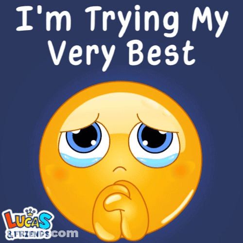 I'm Trying My Best What I Do Now GIF