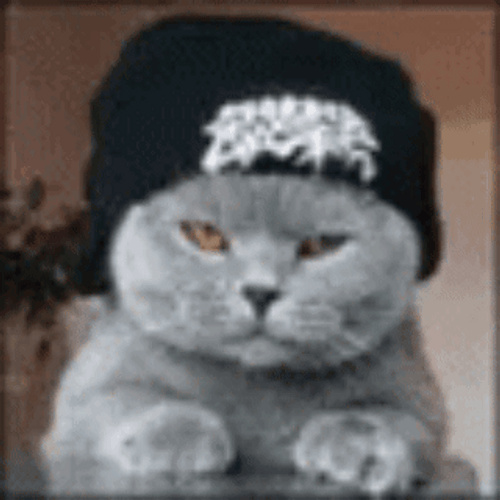 I'm Waiting Patiently Cool Cat GIF