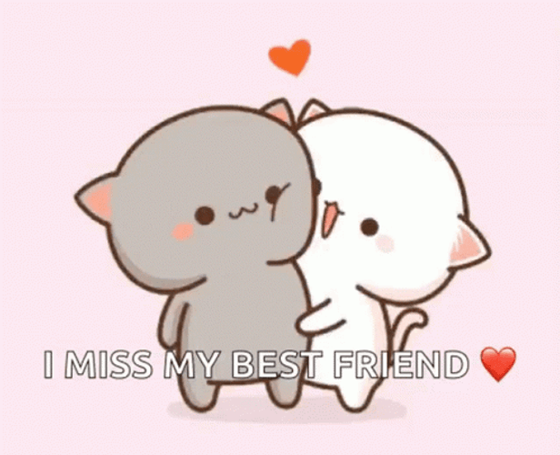 I Miss My Best Friend GIF