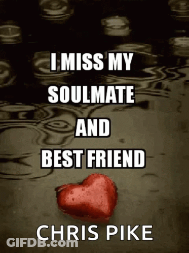 I Miss My Soulmate And Best Friend Book Cover By Chris Pike GIF