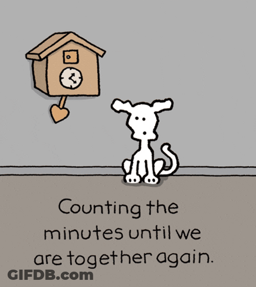 I Miss You Already Been Counting Minutes GIF