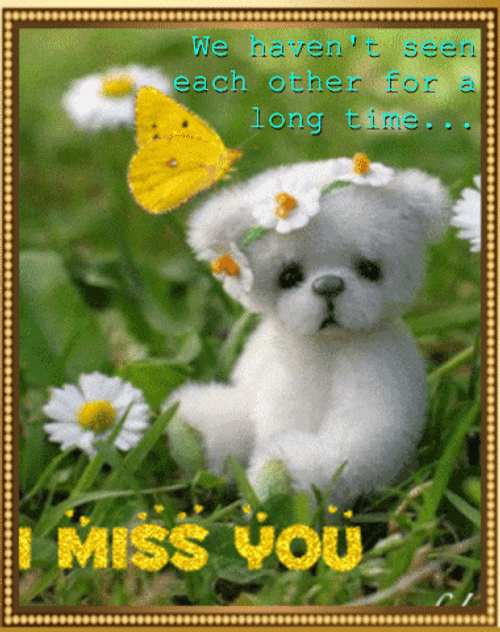 I Miss You Already Let's See Each Other Again GIF