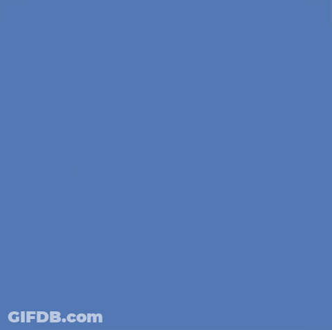 I Miss You Chippy The Dog GIF