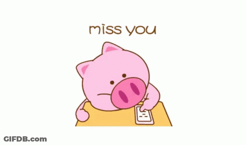 I Miss You Cute Sad Pig GIF