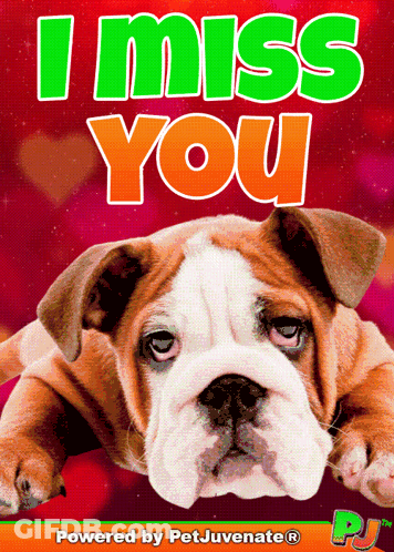 I Miss You Dog Poster GIF