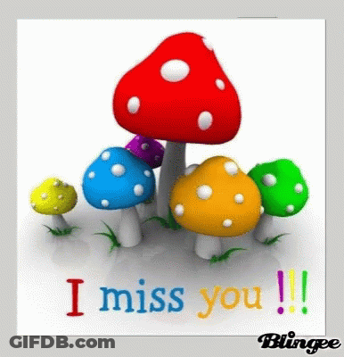 I Miss You GIF