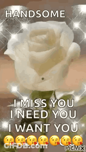 I Miss You I Need You I Want You Handsome I Miss You I Need You I Want You GIF