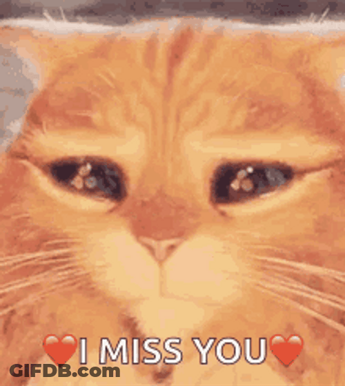 I Miss You Puss In Boots GIF