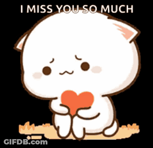 I Miss You So Much Cat GIF
