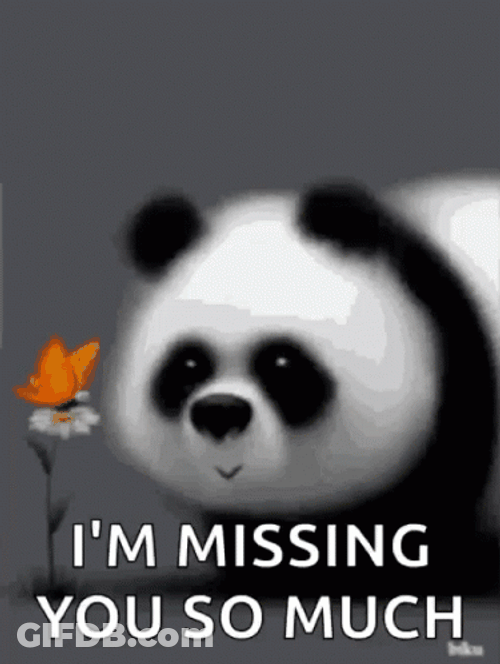 I Miss You So Much Cute Panda GIF