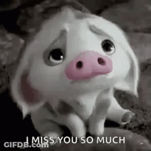 I Miss You So Much Look Up Piglet GIF