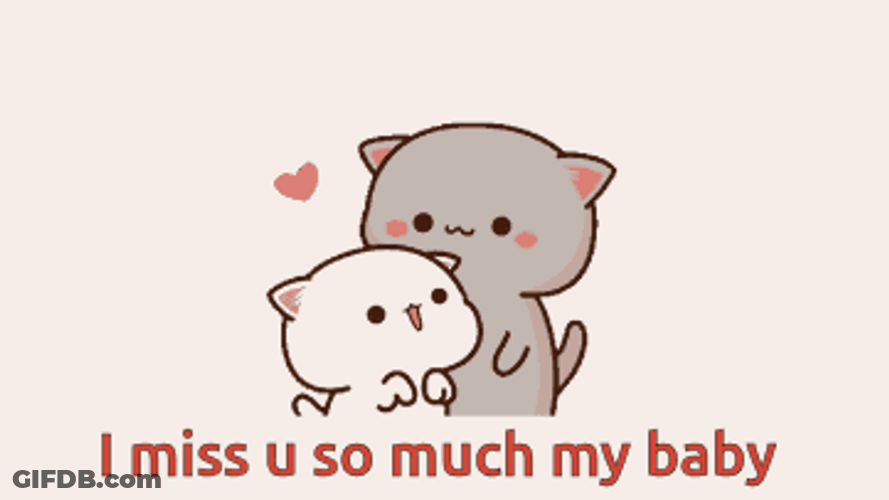 I Miss You So Much My Baby Peach Cat GIF