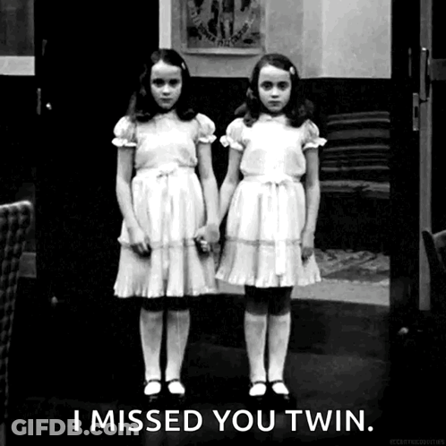 I Missed You Twin GIF