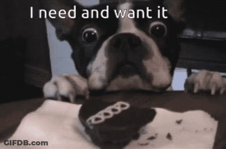 I Need It Want It Dog GIF