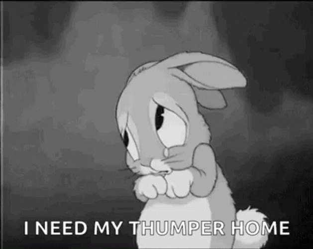 I Need My Thumper Home GIF