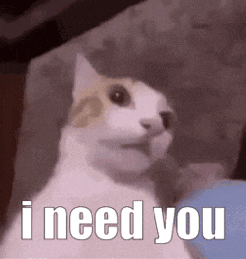 I Need You Cat GIF