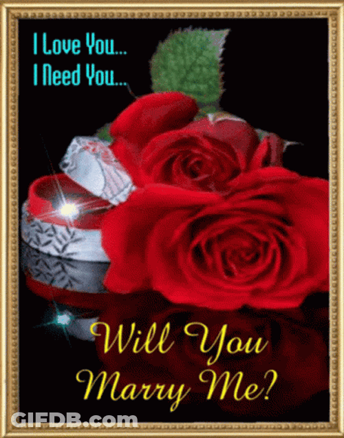 I Need You Marry Me GIF