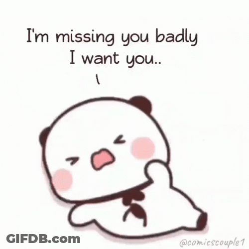 I Need You Panda Tantrums GIF