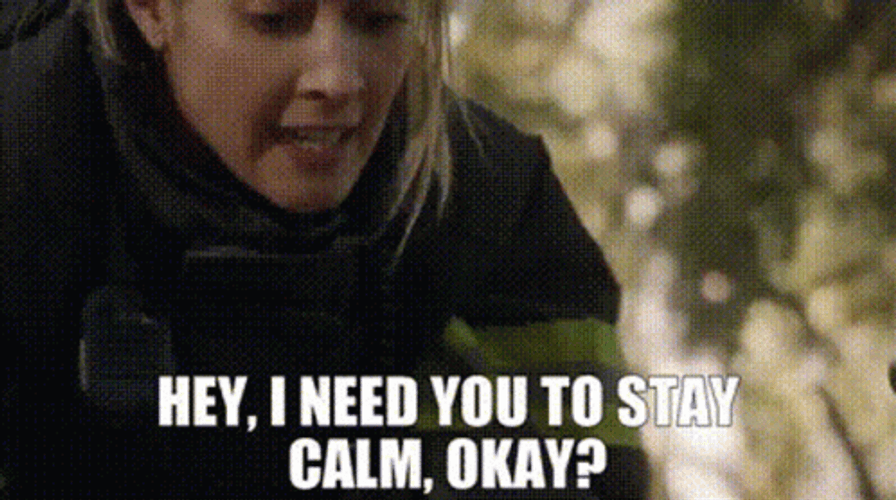 I Need You To Stay Calm GIF