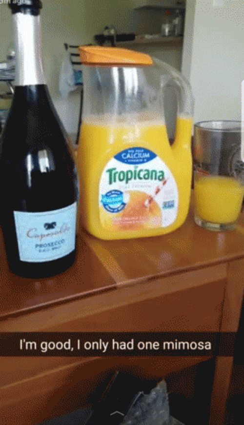 I Only Had One Mimosa GIF