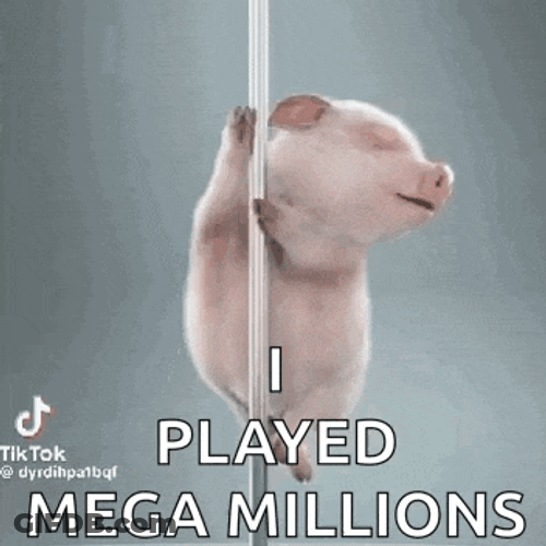 I Played The Mega Millions Lotto GIF