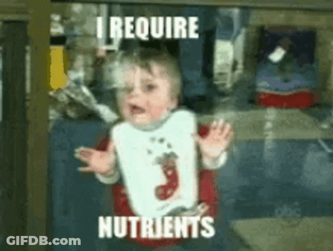 I Require Nutrients Starving GIF