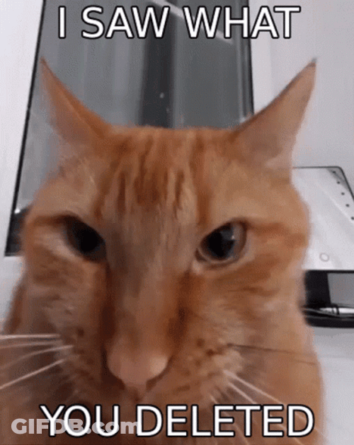I Saw What You Delete GIF