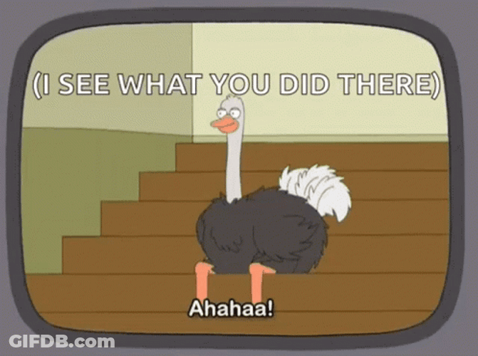 I See What You Did There Laughing Ostrich GIF