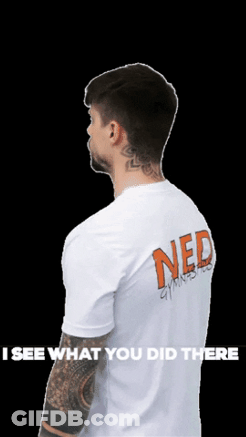 I See What You Did There NED Man GIF