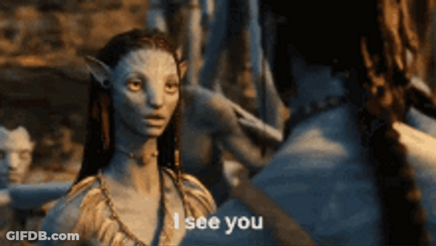 I See You Avatar Neytiri GIF