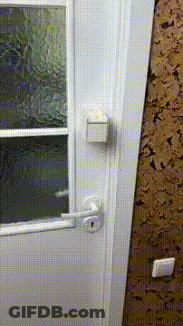 I Shouldnt Have Opened It GIF