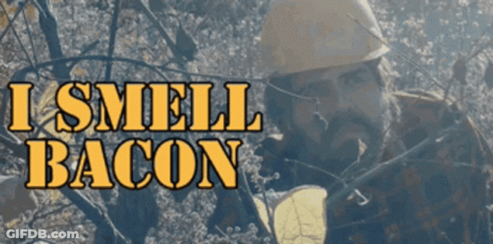 I Smell Bacon GIF