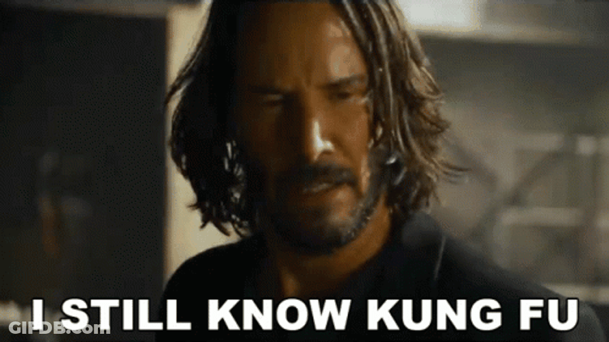 I Still Know Kung Fu GIF