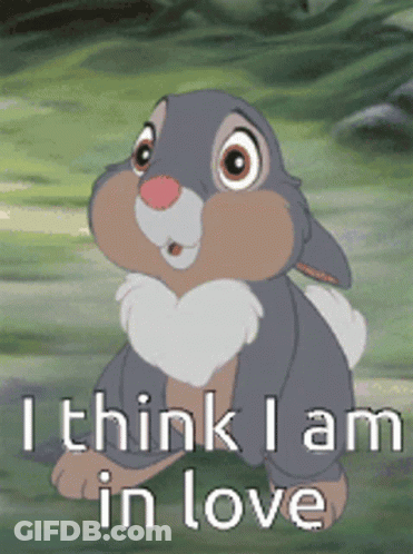 I Think I Am In Love Cartoon Rabbit GIF