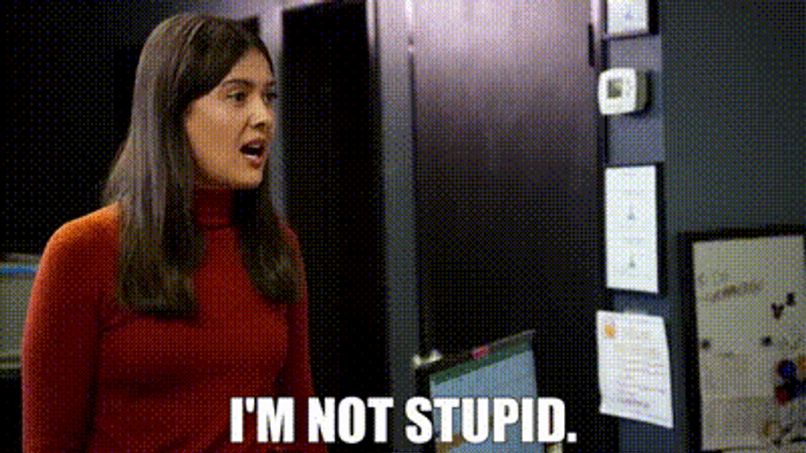 I Think You Should Leave I'm Not Stupid GIF