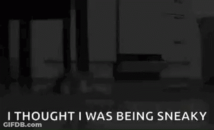 I Thought I Was Being Sneaky GIF