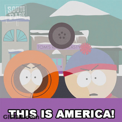 I Thought This Was America GIF